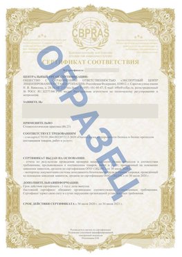 Образец Сертификат СТО 01.064.00220722.2-2020 Черногорск Сертификат СТО 01.064.00220722.2-2020 